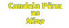 Candela Pena as Nina