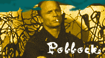 Pollock Website