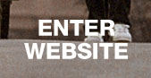 Enter Website