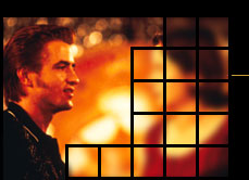 Dermot Mulroney